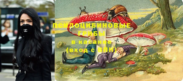 гидропоника Алзамай