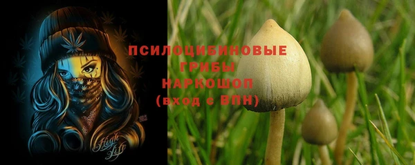гидропоника Алзамай