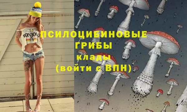 гидропоника Алзамай